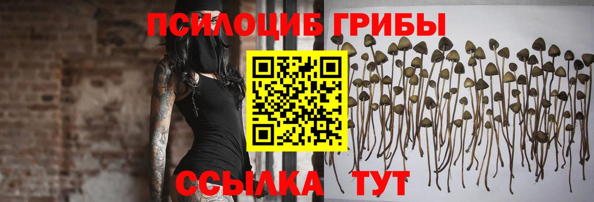 Псилоцибиновые грибы MAGIC MUSHROOMS Кыштым